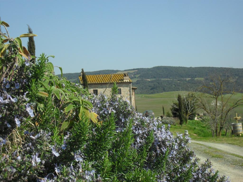 Agriturismo Podere Campaini Волтера Екстериор снимка
