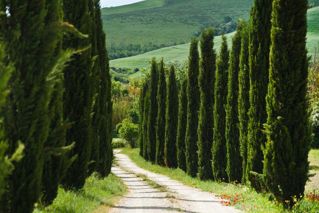 Agriturismo Podere Campaini Волтера Екстериор снимка